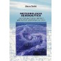 Meteorologia Aeronautica l'informazione meteo per piloti
