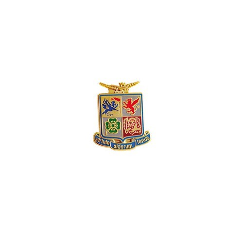 Spilla Distintivo metallico Aeronautica Militare