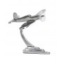 AP102 CORSAIR FERMACARTE