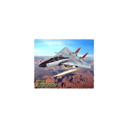 T-shirt uomo F-14 Tomcat