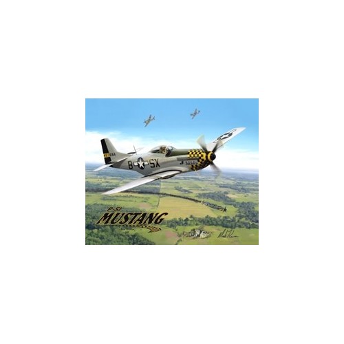 T-shirt uomo P-51 Mustang