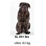 Cuffia antirumore per cane MuffMutts