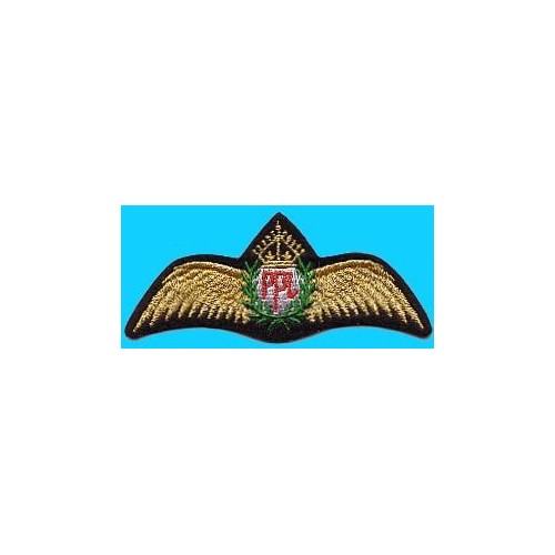 Private Pilot Licence wings