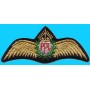 Private Pilot Licence wings