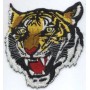 Tiger meet