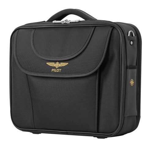Daily Case