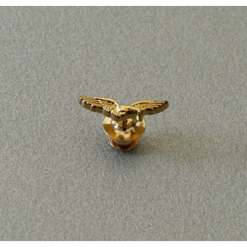 Spilla Aquila brevetto Pilota civile PPL 1,8 cm