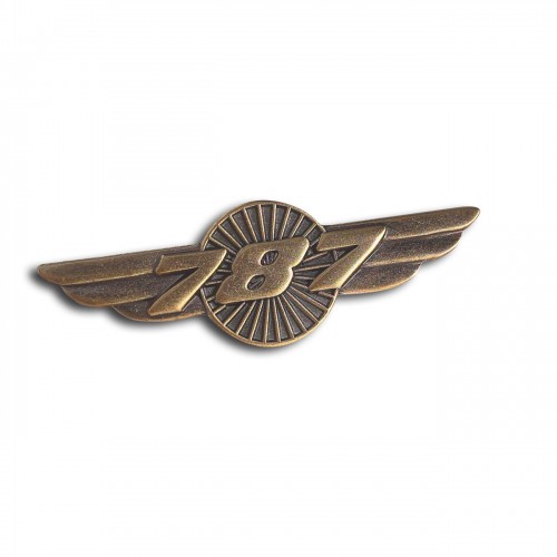 Spilla Boeing 787 Ali