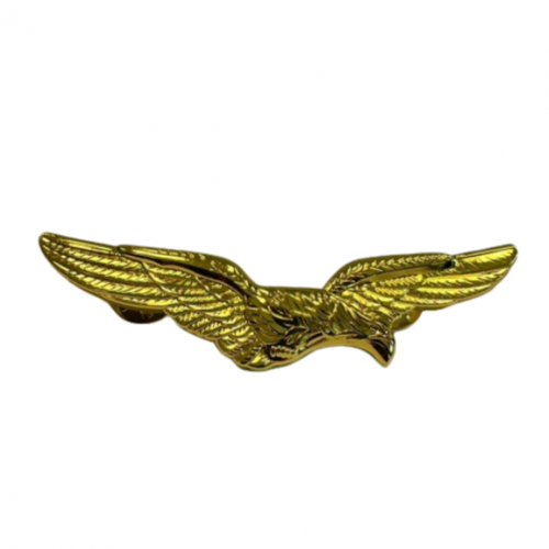 Spilla Aquila brevetto Pilota civile PPL 7 cm