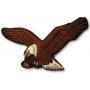 Bold eagle medium