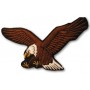 Bold eagle large